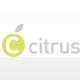 Citrus | Werbeagentur