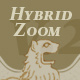 hybridzoom