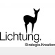 Lichtung. GmbH
