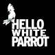 Hello White Parrot GmbH – Werbeagentur