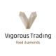 Vigorous Trading GmbH
