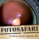 Fotosafari GmbH