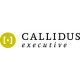 CALLIDUS executive GmbH