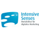 Intensive Senses | Manufaktur für digitales Marketing