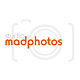 MARKUS DIETZE madphotos