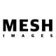 MESH Images