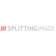 Splitting Image | Friedel Meier