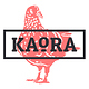 Kaora GmbH