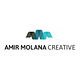 Amir Molana