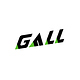 GALL GmbH