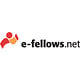 e-fellows.net GmbH & Co KG