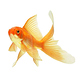 sprintfish communication GmbH & Co. KG