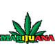 Marijuana Dispensary Online Store