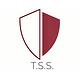 Sicherheitsdienst Tss- Tanta-Security-Service