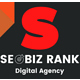 SEO Biz Rank