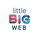 little big web