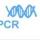 PCR Test Derby