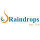 Raindrops Infotech Pvt.ltd