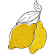 LokalLemons
