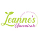 Leanne Succulents