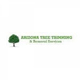 Arizona Tree Trimming & Removal—Scottsdale AZ