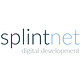 splintnet – digital development