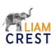 Liam Crest – A black owned eLearning company