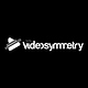 VideoSymmetry-Video-Animation