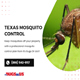 Its Bugs Or Us Pest Control The Woodlands