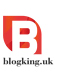 Blog King