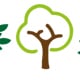 J M Tree Services Limited