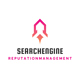 Search Engine Reputation Management
