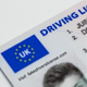 Fake Drivers License