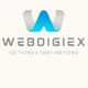 Webdigiex