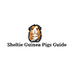 Sheltie Guinea Pig