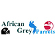 African Grey Parrots Inc