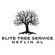 Elite Tree Service—Heflin AL