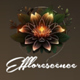 Efflorescence Aesthetic and Cellulite Reduction Spa