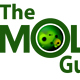 The Mold Guys