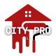 CityPro LLC