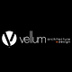 Vellum Modern Architecture