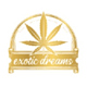 Exotic Dreams Dc