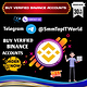 smmtopitworld