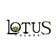 Lotus Glass USA