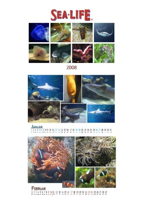 Kalender Sealife