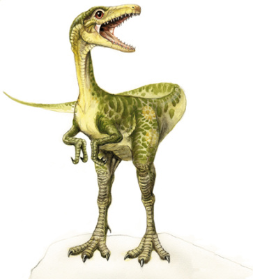 compsognathus