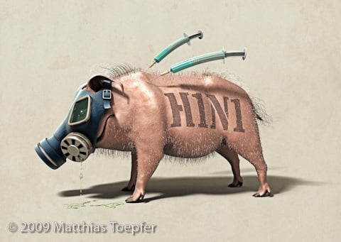 Schweinegrippe-H1N1-A