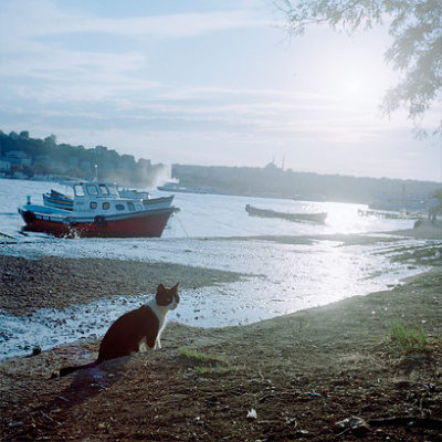 Istanbul