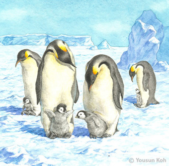 Buchcoverillustration/Pinguine