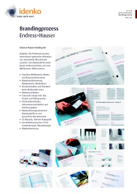 idenko Brandingprozess Endress + Hauser
